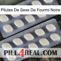 Black Ant Sex Pills 07